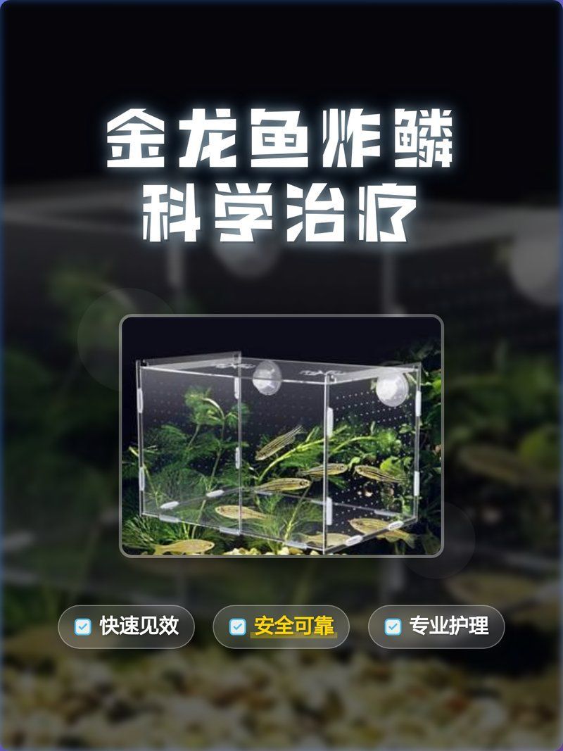 如何判斷金龍魚(yú)是否炸鱗？（如何判斷金龍魚(yú)是否炸鱗）