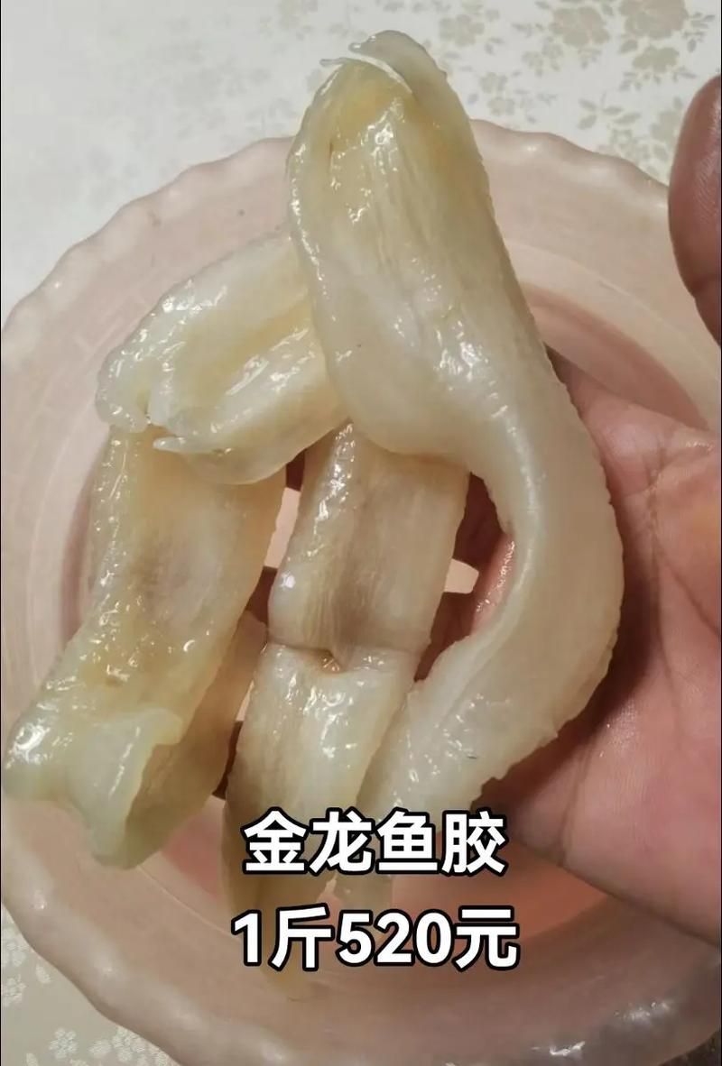龍魚病逝后多久會腐爛？（龍魚死亡后的腐爛時間）
