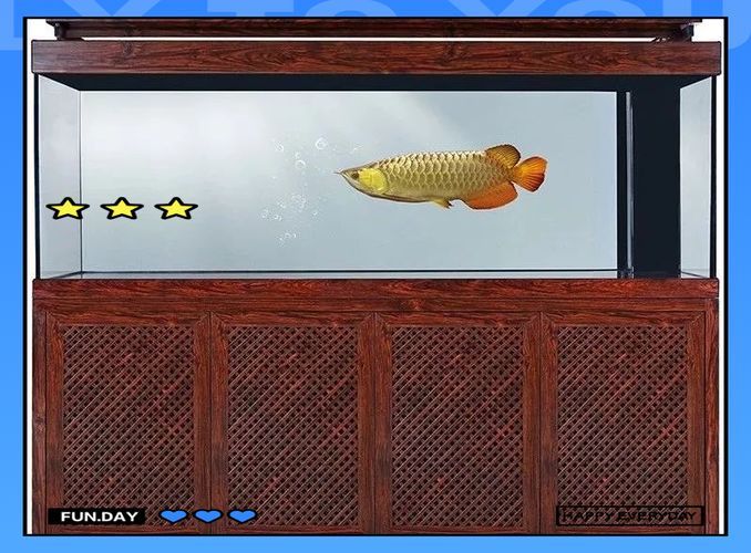 推薦一些價(jià)格適中的龍魚(yú)配魚(yú)（mcp工具調(diào)用龍魚(yú)配魚(yú)推薦：價(jià)格適中的龍魚(yú)配魚(yú)）