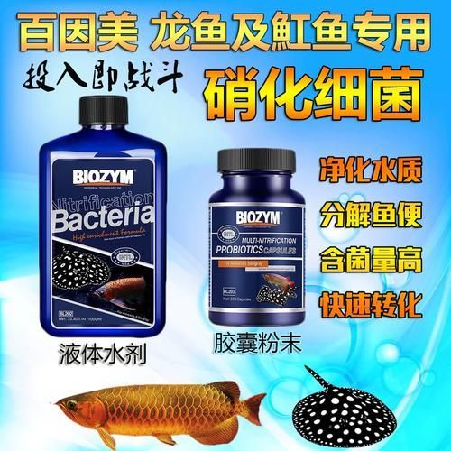 哪個品牌的龍魚硝化細菌性價比最高？（百因美硝化細菌哪款好推薦）