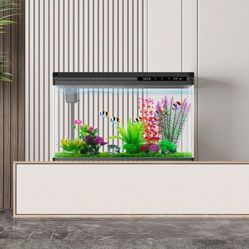 西龍魚缸有哪些型號（西龍魚缸選購攻略）