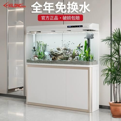 西龍魚缸有哪些型號（西龍魚缸選購攻略）