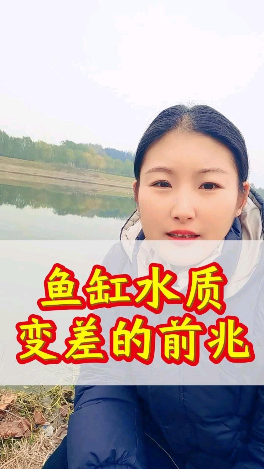 如何判斷龍魚是否水質惡化？（arxiv論文助手魚缸水質惡化判斷龍魚是否水質惡化）