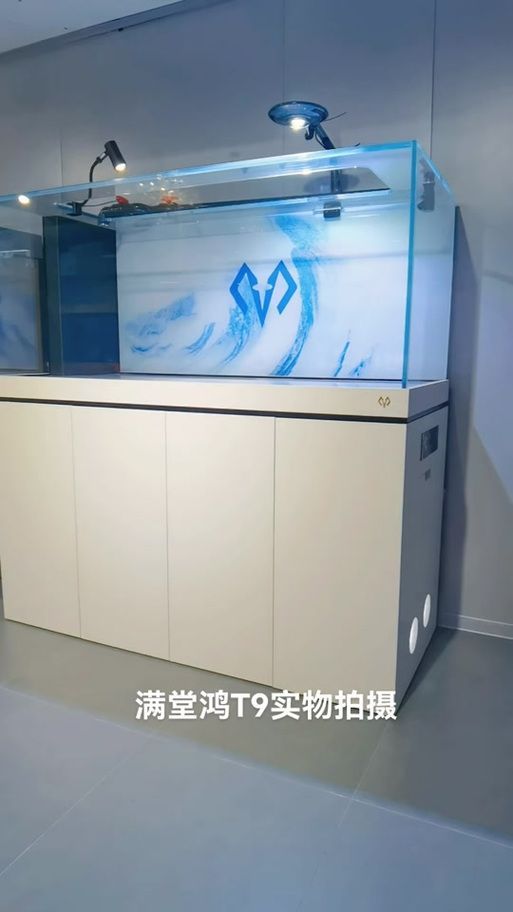 除了以上品牌，還有哪些龍魚缸品牌值得推薦？（高端魚缸品牌對比清單）