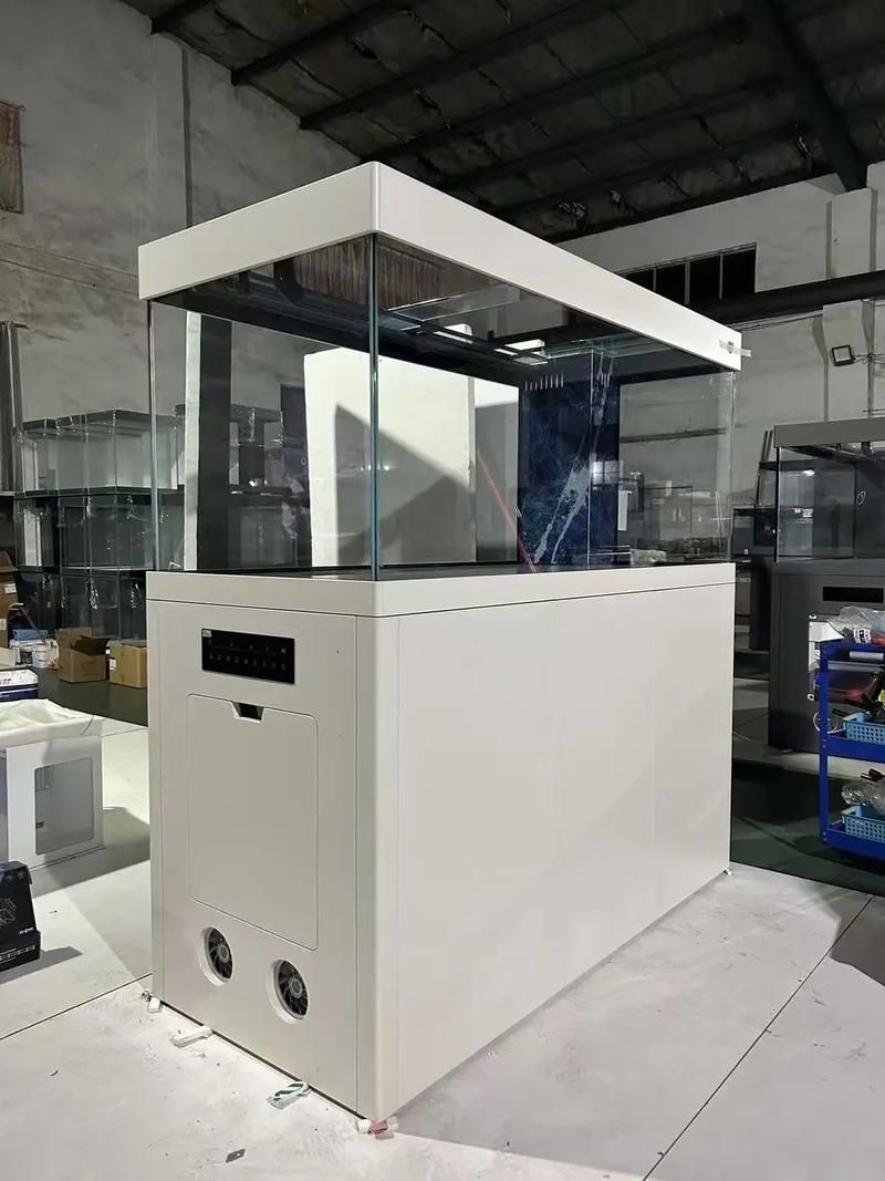 除了以上品牌，還有哪些龍魚缸品牌值得推薦？（高端魚缸品牌對比清單）