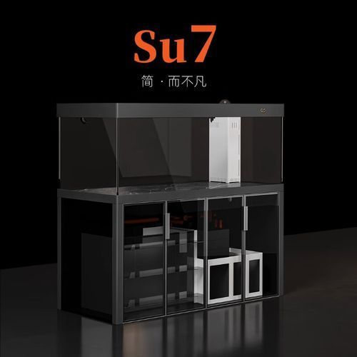 除了以上品牌，還有哪些龍魚缸品牌值得推薦？（高端魚缸品牌對比清單）