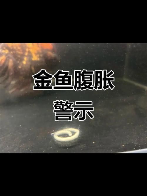 能否提供更詳細的市場分析