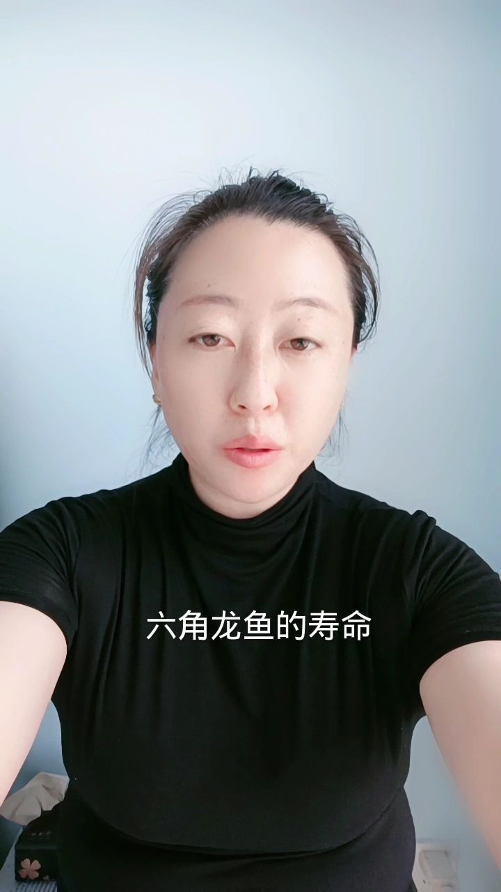 六角龍魚的壽命有多長？（六角龍魚平均壽命僅為野生個體的1/3，六角龍魚的壽命）