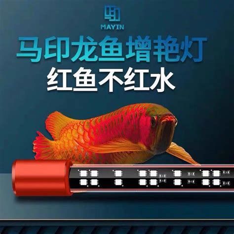 推薦幾款適合龍魚的三色LED燈（三色led燈選擇）