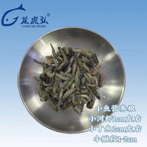 有哪些食物可以替代活泥鰍作為龍魚(yú)餌料？（龍魚(yú)的飼養(yǎng)過(guò)程中，活泥鰍可能難以獲得或價(jià)值昂貴的食物）