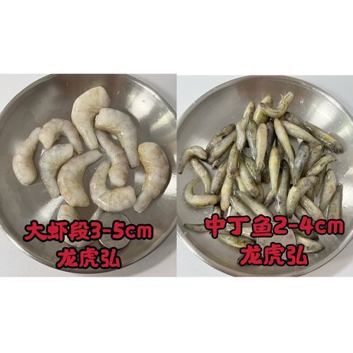 有哪些食物可以替代活泥鰍作為龍魚(yú)餌料？（龍魚(yú)的飼養(yǎng)過(guò)程中，活泥鰍可能難以獲得或價(jià)值昂貴的食物）