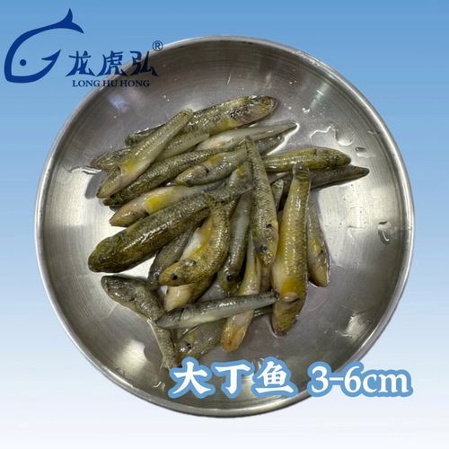 有哪些食物可以替代活泥鰍作為龍魚(yú)餌料？（龍魚(yú)的飼養(yǎng)過(guò)程中，活泥鰍可能難以獲得或價(jià)值昂貴的食物）
