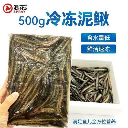 有哪些食物可以替代活泥鰍作為龍魚(yú)餌料？（龍魚(yú)的飼養(yǎng)過(guò)程中，活泥鰍可能難以獲得或價(jià)值昂貴的食物）