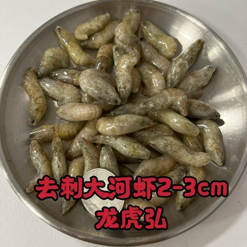 有哪些食物可以替代活泥鰍作為龍魚(yú)餌料？（龍魚(yú)的飼養(yǎng)過(guò)程中，活泥鰍可能難以獲得或價(jià)值昂貴的食物）