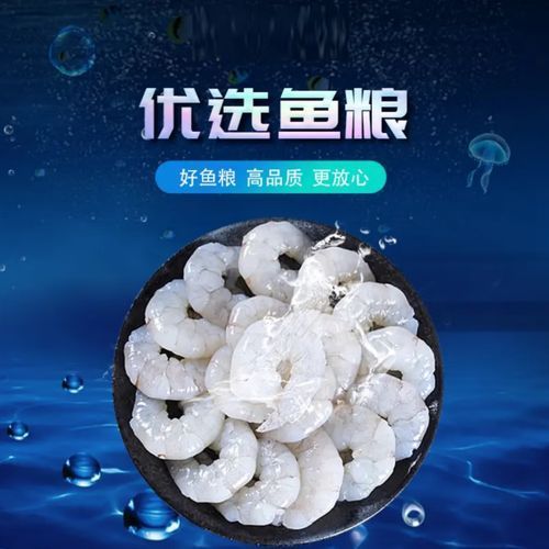 有哪些食物可以替代活泥鰍作為龍魚(yú)餌料？（龍魚(yú)的飼養(yǎng)過(guò)程中，活泥鰍可能難以獲得或價(jià)值昂貴的食物）