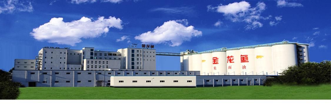 金龍魚的大健康產業布局進展如何？（金龍魚豐益堂大健康產業布局）