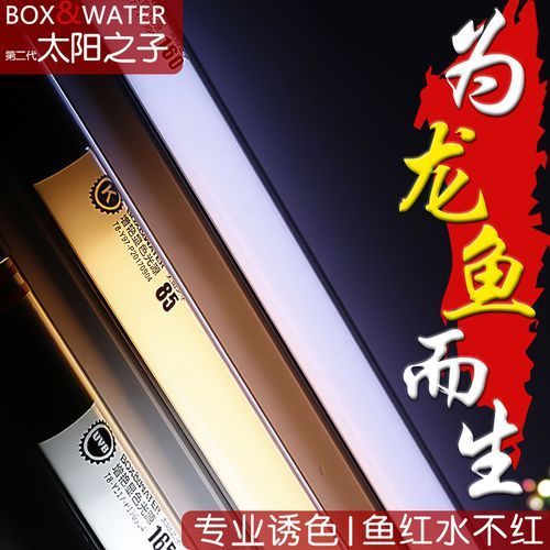 博特龍魚燈有哪些型號（博特龍魚燈哪個型號最適合紅龍）