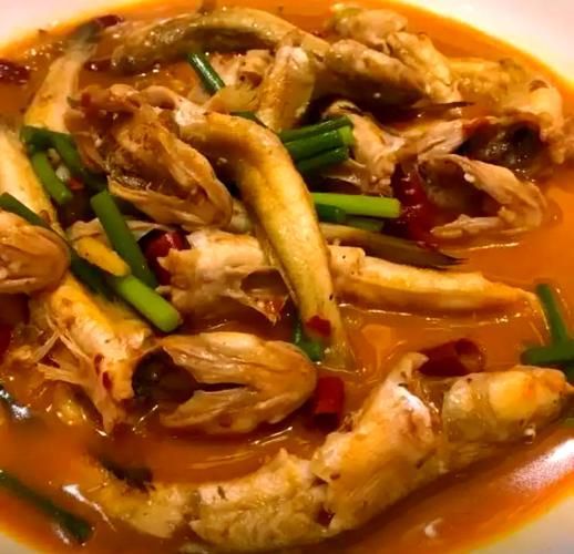 沙龍魚是什么魚？（1000字詳解“沙龍魚”是沙光魚的烹飪經驗與技巧）