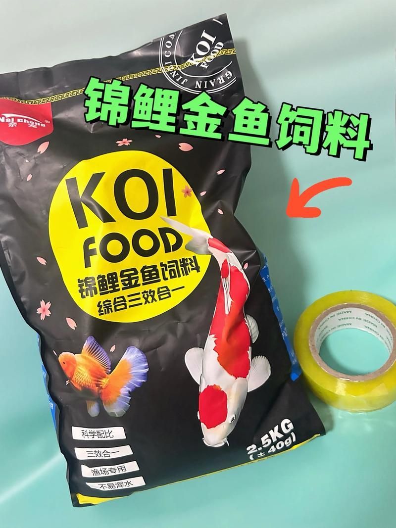 如何科學飼養紅龍魚以達到最大尺寸？（科學飼養紅龍魚）