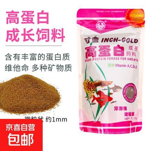 如何科學飼養紅龍魚以達到最大尺寸？（科學飼養紅龍魚）
