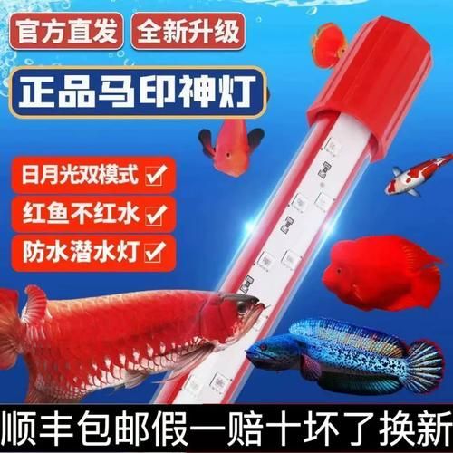推薦幾款性價比高的龍魚誘色燈（龍魚燈哪款好用性價比pk） 推薦幾款性價比高的龍魚誘色燈（龍魚燈哪款好用性價比pk） 龍魚百科 第4張