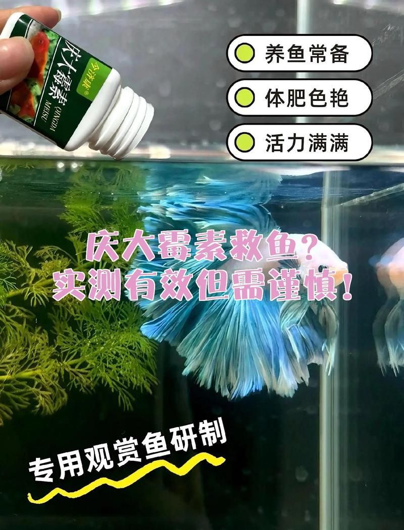 有哪些藥物可以促進龍魚胡須恢復？（arxiv論文助手（arxiv論文助手（arxiv論文助手））