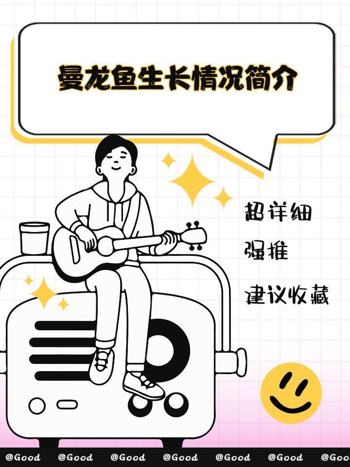 黃曼龍魚可以養(yǎng)大嗎？（寵界段子手黃曼龍魚飼養(yǎng)指南）