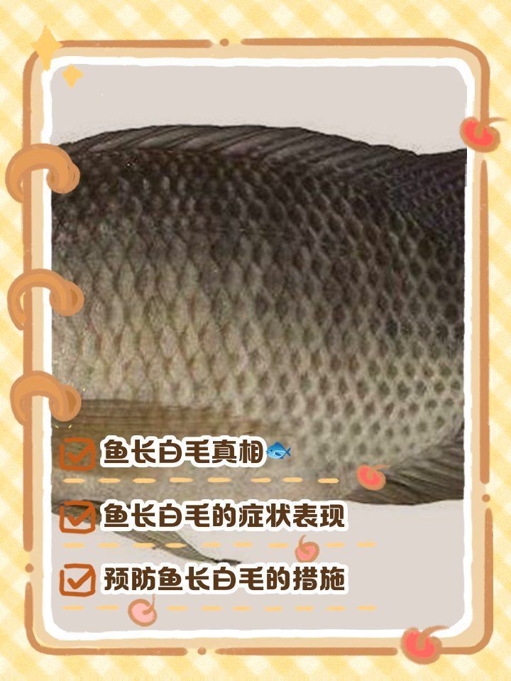 如何預防龍魚須根部白色物質的產生？（arxiv論文助手arxiv論文助手arxiv論文助手）