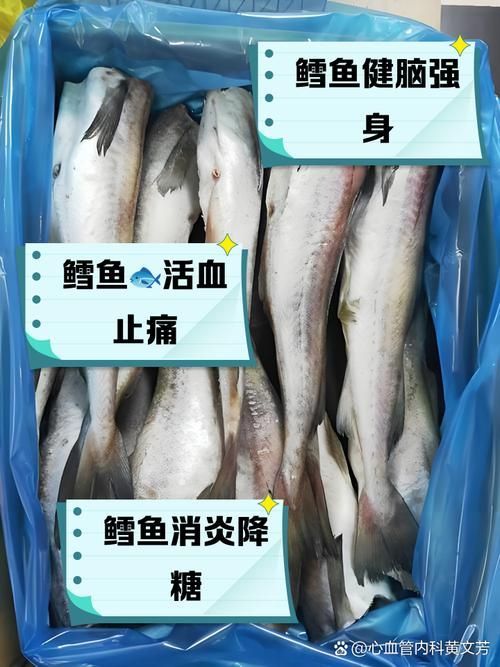 雪龍魚(yú)病多久會(huì)好（arxiv論文助手雪龍魚(yú)（arxiv論文助手）要求）