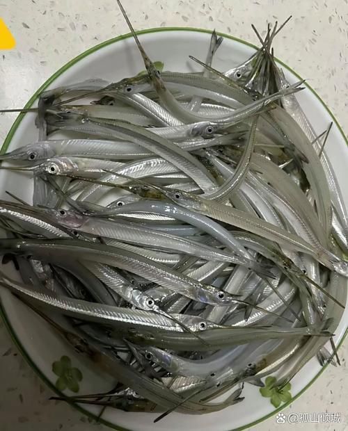 雪龍魚(yú)病多久會(huì)好（arxiv論文助手雪龍魚(yú)（arxiv論文助手）要求）