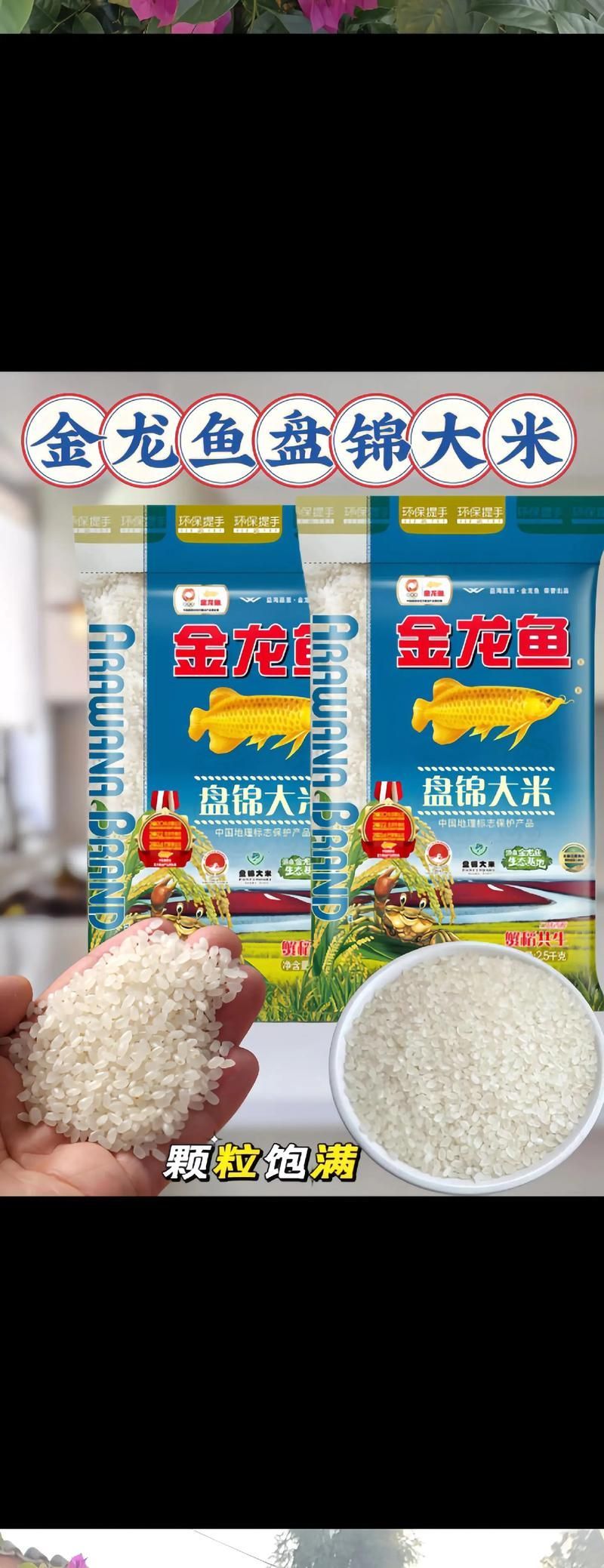如何科學喂養金龍魚，確保營養均衡？（科學喂養金龍魚）