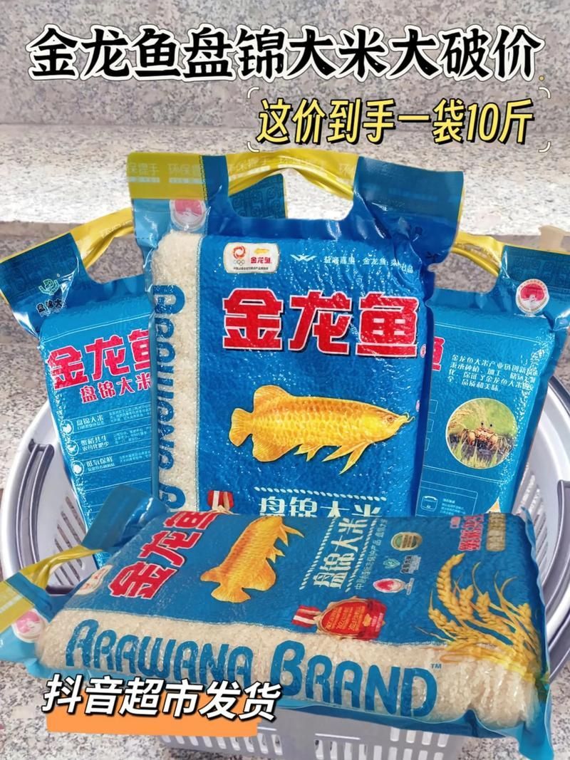 如何科學喂養金龍魚，確保營養均衡？（科學喂養金龍魚）