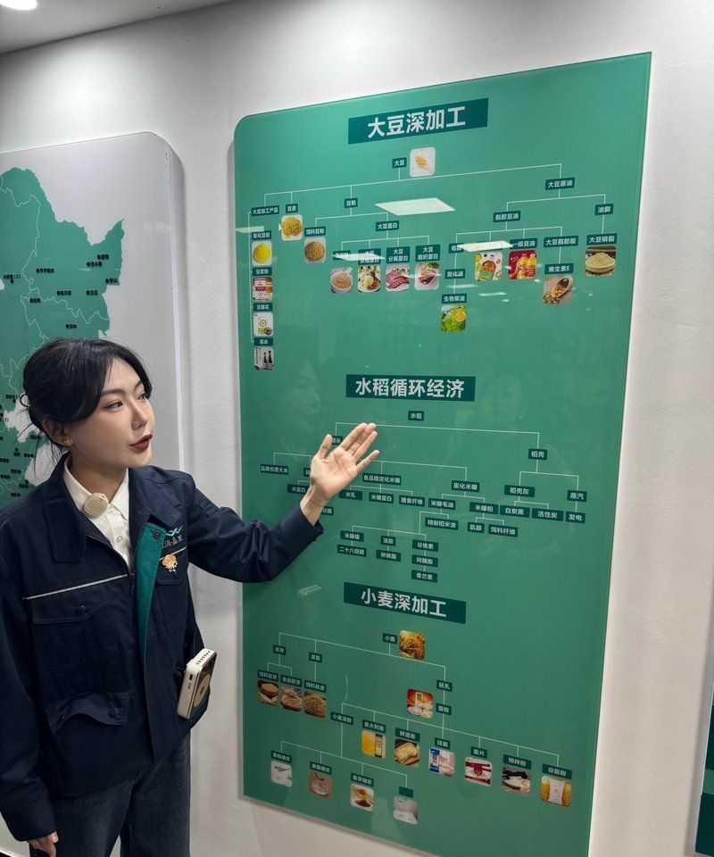 金龍魚生產基地分布在哪些城市？（金龍魚全國生產基地的分布有何特點？）