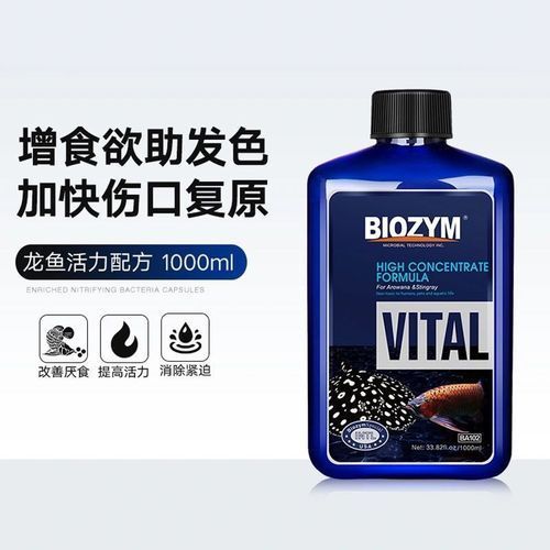 如何預防龍魚鱗有洞？（龍魚換水的正確方式）