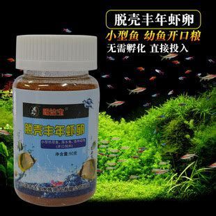 有哪些食物可以喂龍魚小魚？（龍魚幼魚喂養指南）