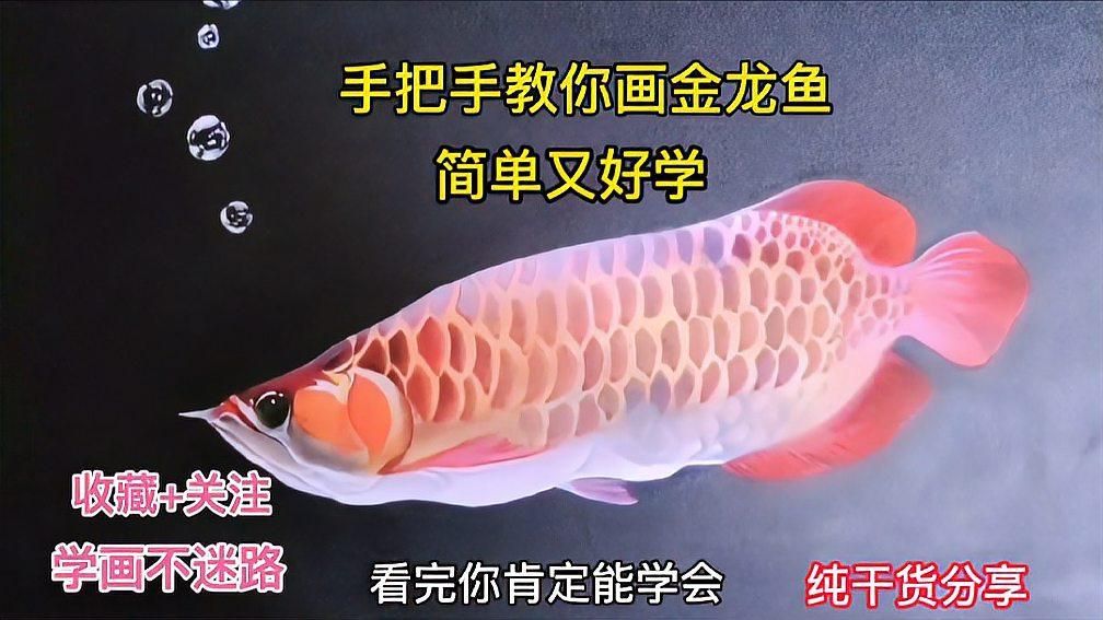 有沒有視頻教程教如何畫紅龍魚鱗片底色？（如何畫紅龍魚鱗片底色？）