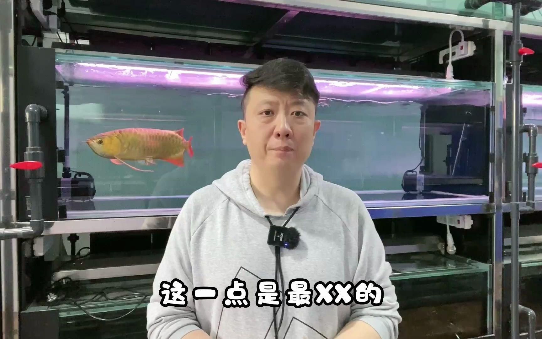 如何判斷龍魚是否因環境變化而不吃？（龍魚不吃食物是由于環境變化引起的，如何緩解龍魚環境應激）