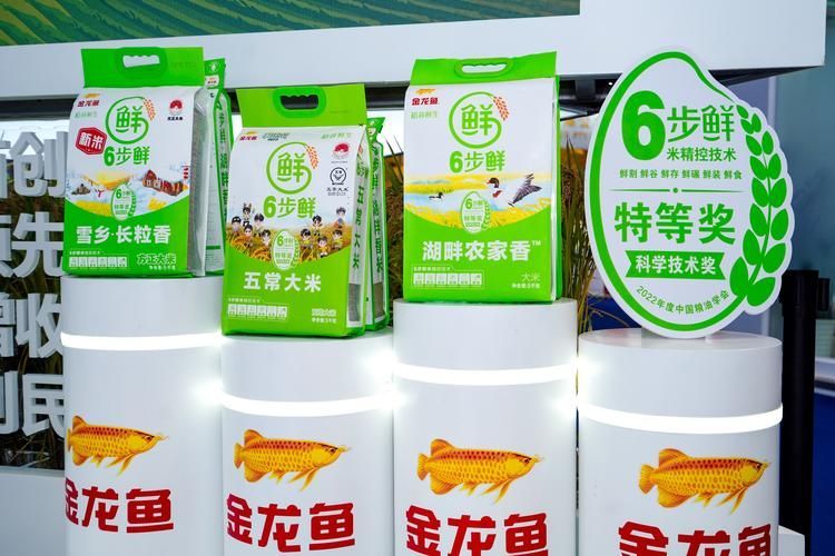 金龍魚2025年有哪些新推出的糧油產品？（金龍魚2025年產品有哪些新產品？）