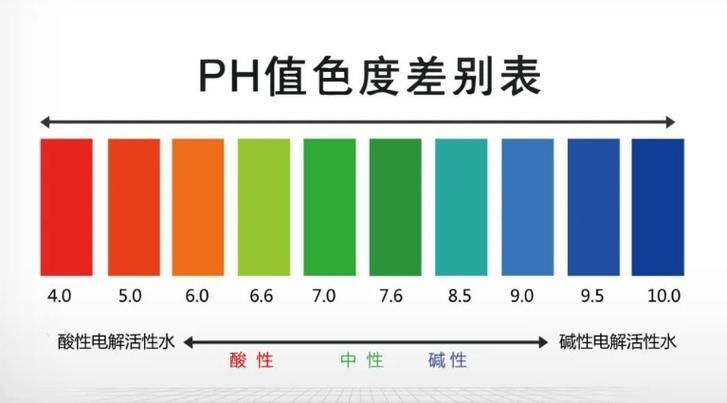 如何科學養護龍魚，避免龍魚死亡？（養殖龍魚的注意事項）