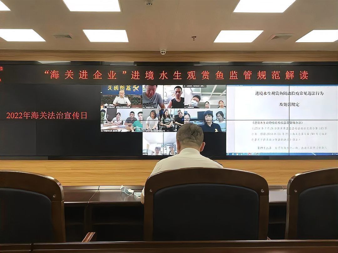 龍魚批發市場的交易流程是怎樣的？（龍魚批發市場交易流程）