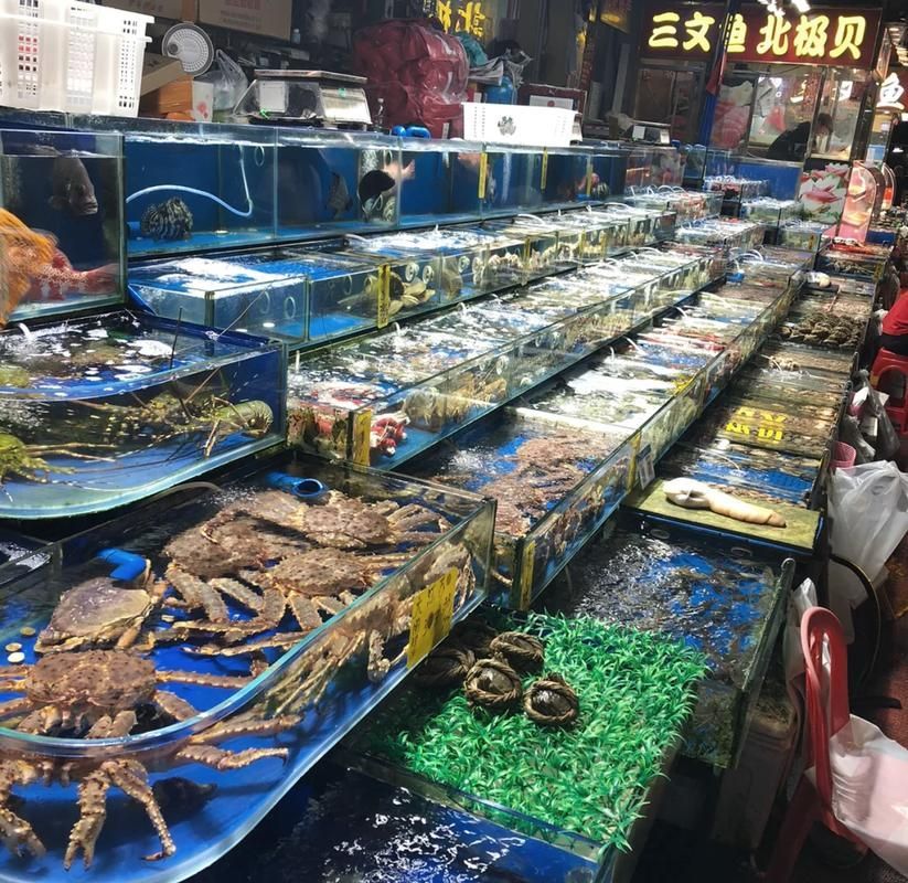 龍魚批發市場的交易流程是怎樣的？（龍魚批發市場交易流程）