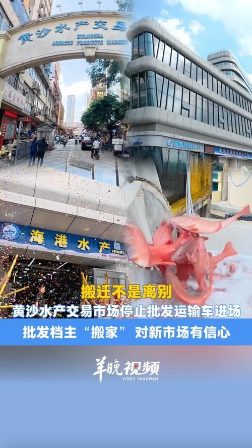 龍魚批發市場的交易流程是怎樣的？（龍魚批發市場交易流程）