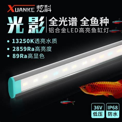 詳解（1000字和配圖）有哪些品牌的龍魚增艷燈評價最好？（龍魚增艷燈品牌評測）