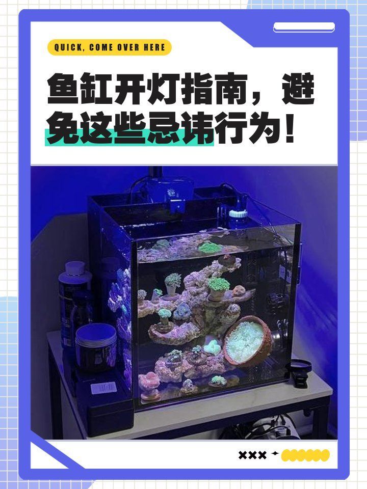 龍魚夜燈需要每天開多久？（龍魚夜燈使用時(shí)長(zhǎng)取決于多種因素）