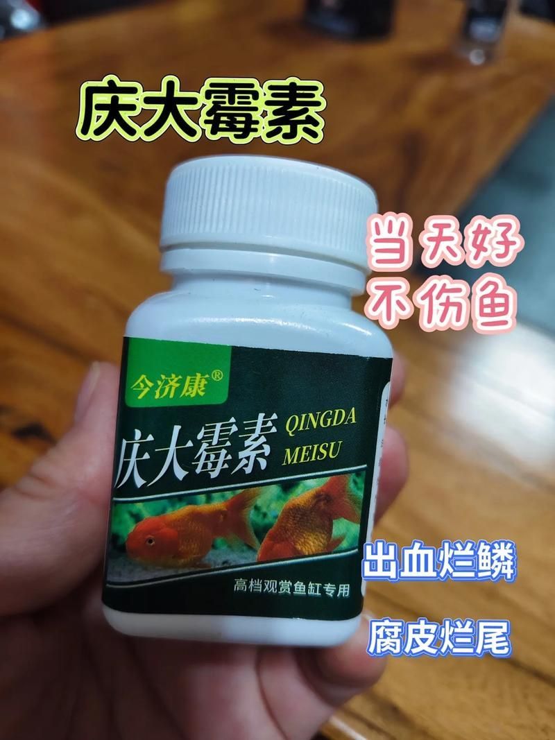 哪種龍魚專用藥物效果最好？（關于龍魚專用藥物使用）
