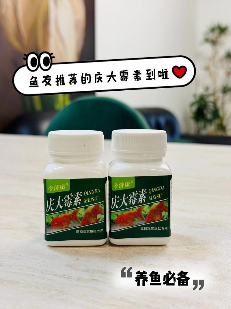 哪種龍魚專用藥物效果最好？（關于龍魚專用藥物使用）