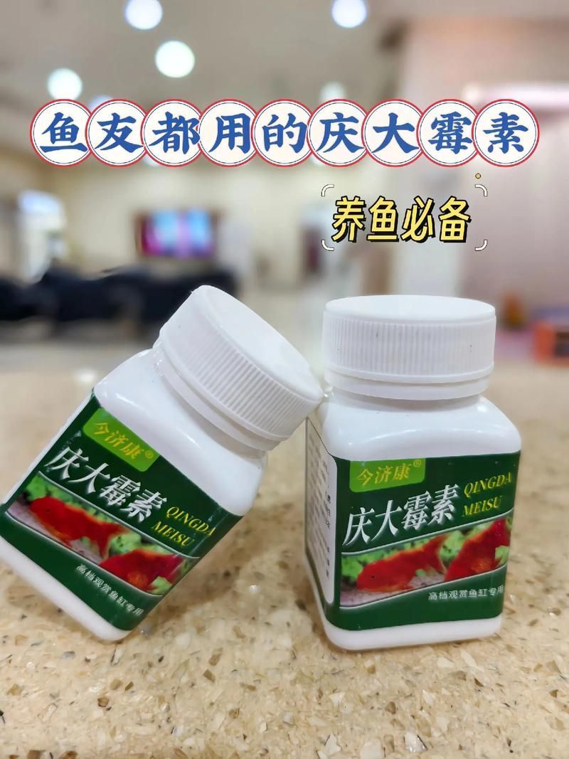 哪種龍魚專用藥物效果最好？（關于龍魚專用藥物使用）