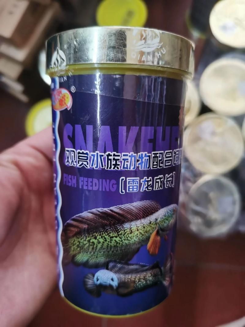 給我推薦一些適合小火龍魚的飼料品牌（小火龍魚的選擇）