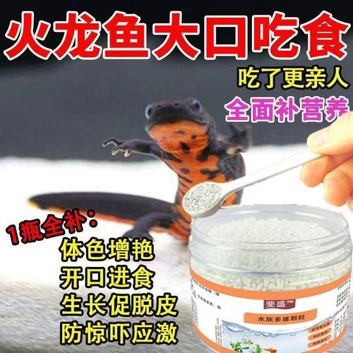 給我推薦一些適合小火龍魚的飼料品牌（小火龍魚的選擇）