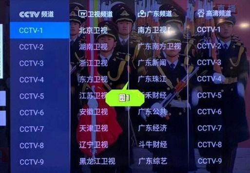 央視網如何觀看CCTV12龍魚直播？（央視網如何觀看cctv12龍魚直播）
